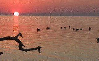 Sunrise on the Albemarle Sound, North Carolina