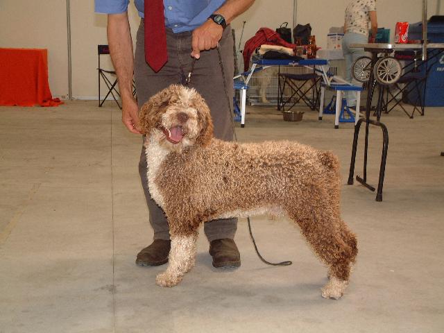 Champion Rancholunes de Ubrique